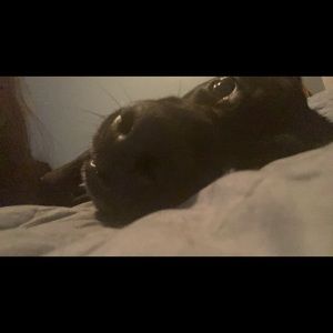 Meet your Posher, Aimee